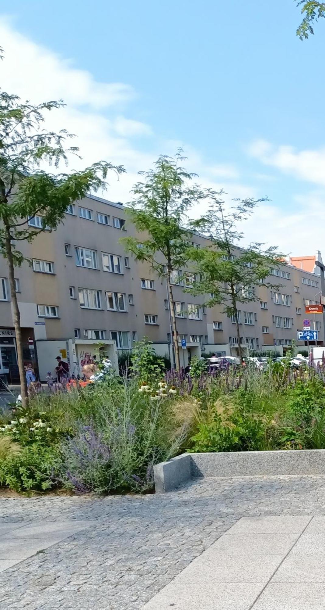 Kotlarska Apartment Wroclaw Exterior photo